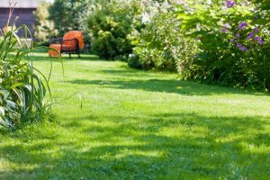 travaux jardin et paysage Vinezac